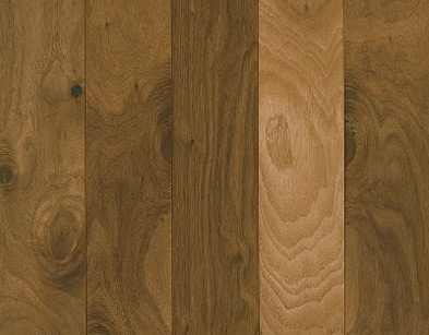 Walnut flooring swatch
